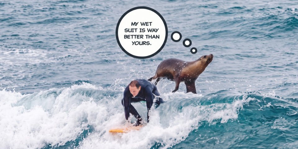 Surfin’ Sea Lion
